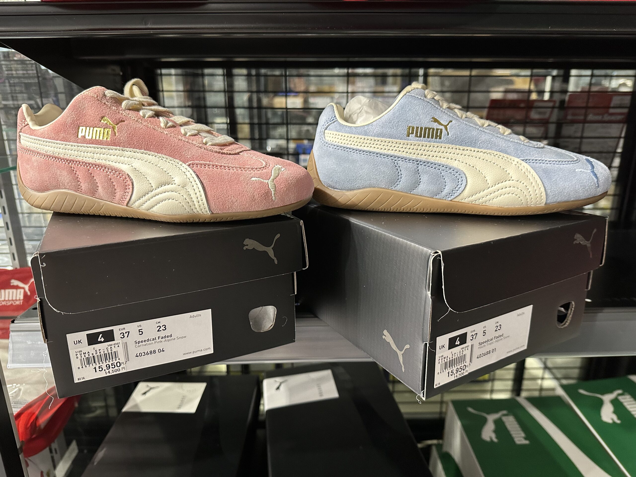 PUMA レディースシューズ！